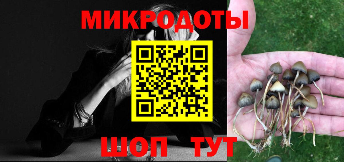 Амурск  Галлюциногенные грибы мицелий  Вход с VPN 